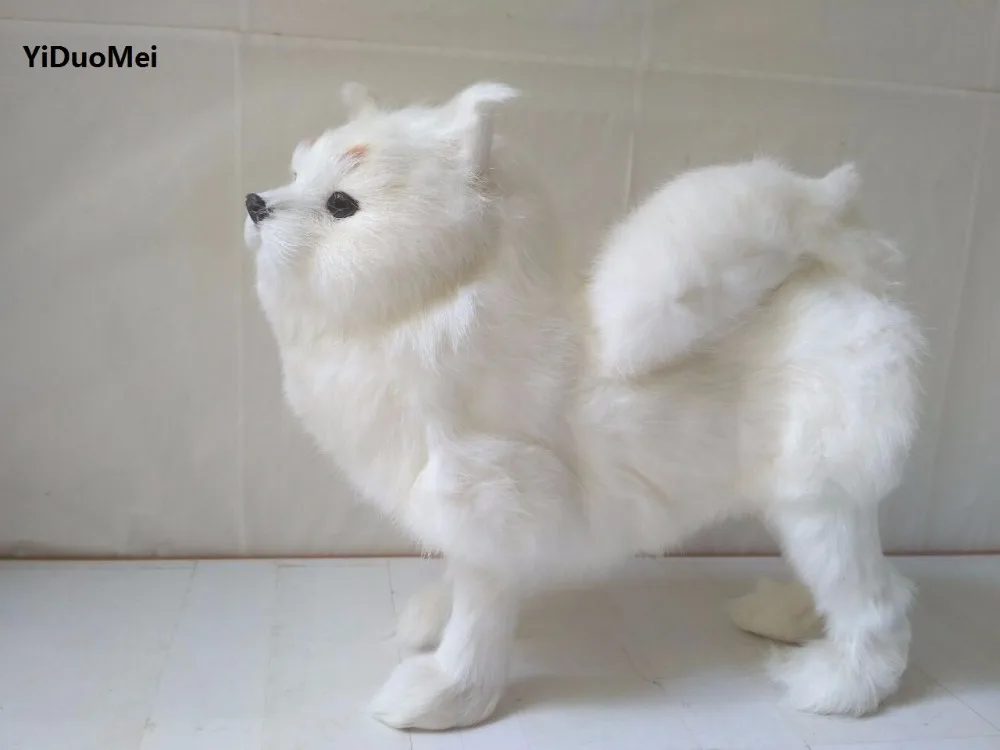 simulation white Pomeranian model plastic&furs large 29x25cm Pomeranian dog handicraft prop,home decoration gift p0900
simulation white Pomeranian model plastic&furs large 29x25cm Pomeranian dog handicraft prop,home decoration gift p0900