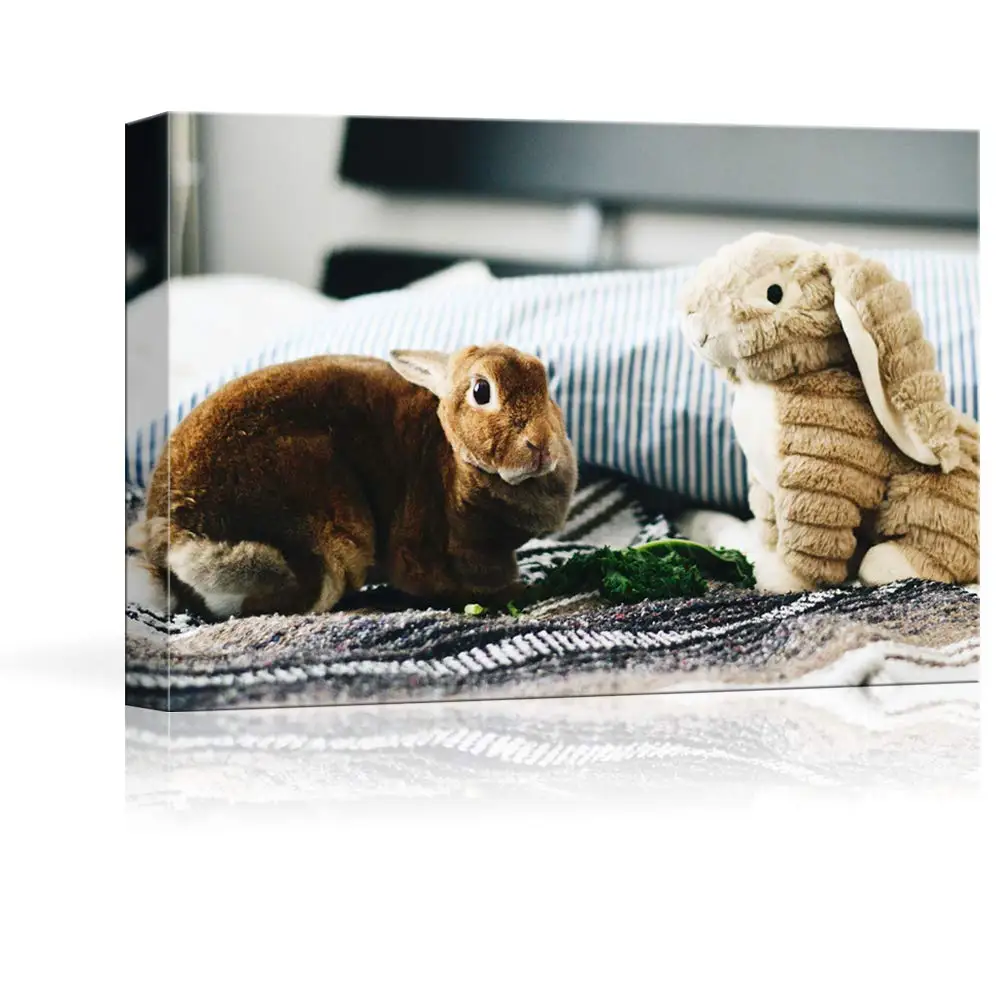 Canvas Prints with Your Photos for Pet/Animal, Personalized Canvas Pictures for Wall to Print Drop shipping
Canvas Prints with Your Photos for Pet/Animal, Personalized Canvas Pictures for Wall to Print Drop shipping