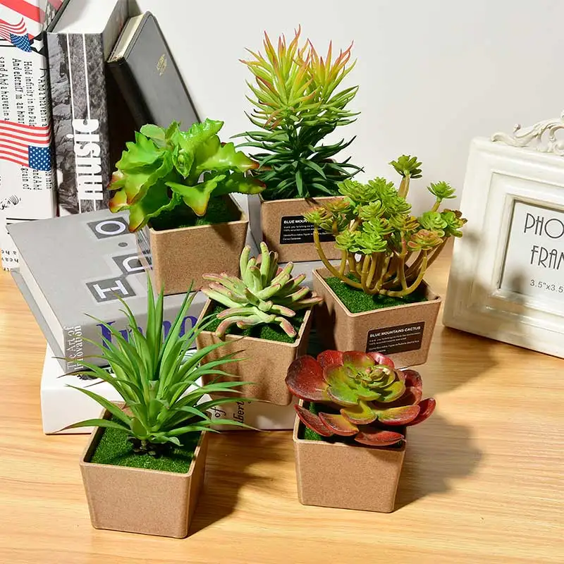 Mini Artificial Succulent Plant Bonsai Solid Color Round Resin Plastic Plant Pot Home Office Study Living Room Garden Decoration
Mini Artificial Succulent Plant Bonsai Solid Color Round Resin Plastic Plant Pot Home Office Study Living Room Garden Decoration