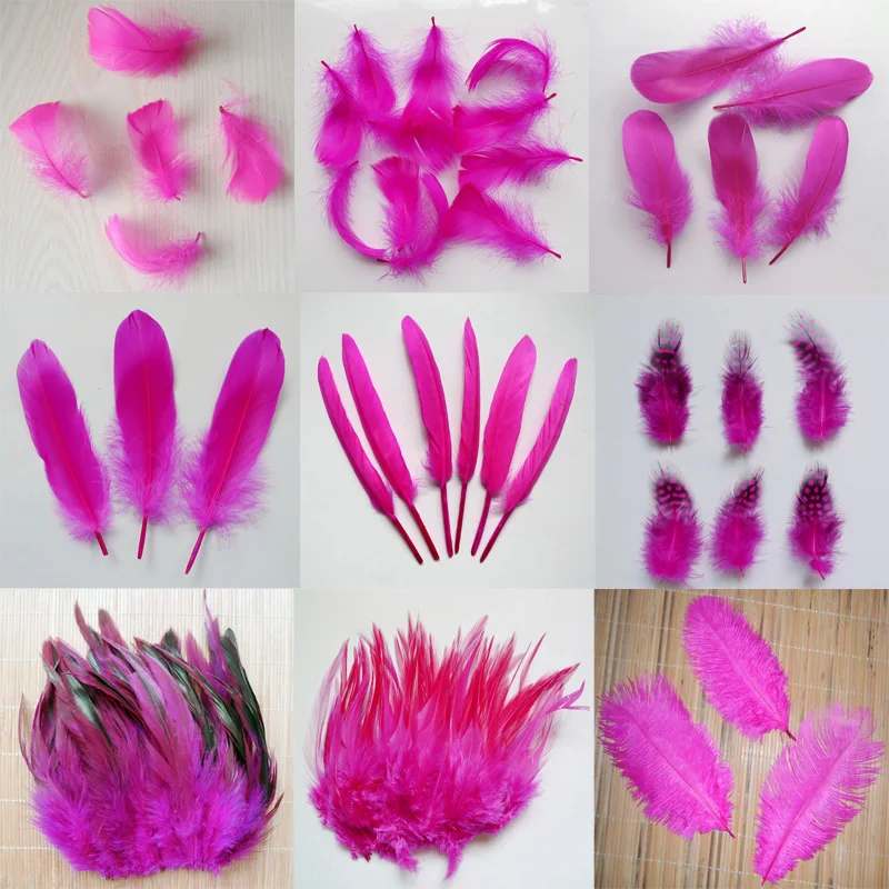 20pcs 11 kinds Rose Color Pheasant tail Chicken feathers Goose Rooster Plumas for Party DIY Craft decoration Ostrich feather
20pcs 11 kinds Rose Color Pheasant tail Chicken feathers Goose Rooster Plumas for Party DIY Craft decoration Ostrich feather
