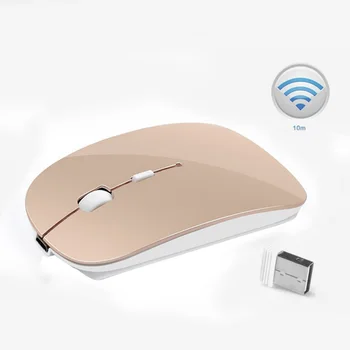 High Quality Wireless Mouse Silent Computer Mouse PC 2400 DPI Ergonomic Mouse 2.4Ghz USB Optical Mice For Laptop PC
High Quality Wireless Mouse Silent Computer Mouse PC 2400 DPI Ergonomic Mouse 2.4Ghz USB Optical Mice For Laptop PC