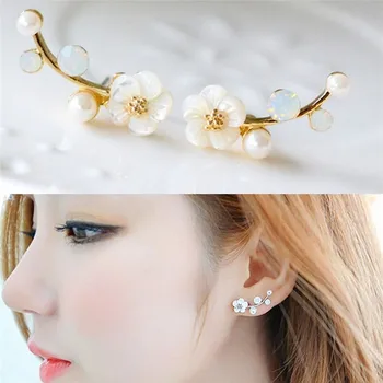 New Fashoin Sliver Earrings Daisy Flower Ear Jacket for women Bijoux Jewelry Brincos Pendientes Mujer 925
New Fashoin Sliver Earrings Daisy Flower Ear Jacket for women Bijoux Jewelry Brincos Pendientes Mujer 925