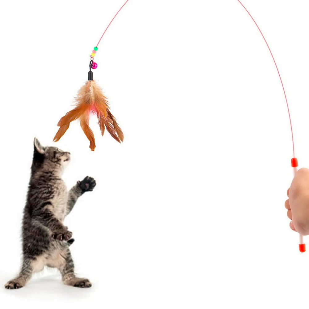 Pet cat toy Cute Design Steel Wire Feather Teaser Wand Plastic Toy for cats Color Multi Products For pet New Arrival
Pet cat toy Cute Design Steel Wire Feather Teaser Wand Plastic Toy for cats Color Multi Products For pet New Arrival
