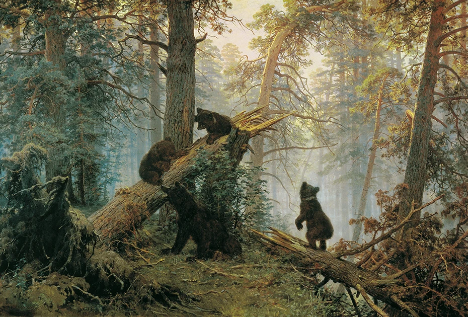 HTB1Y5jLbBKw3KVjSZTEq6AuRpXa8 Morning in a Pine Forest Diamond Painting HTB1Y5jLbBKw3KVjSZTEq6AuRpXa8
