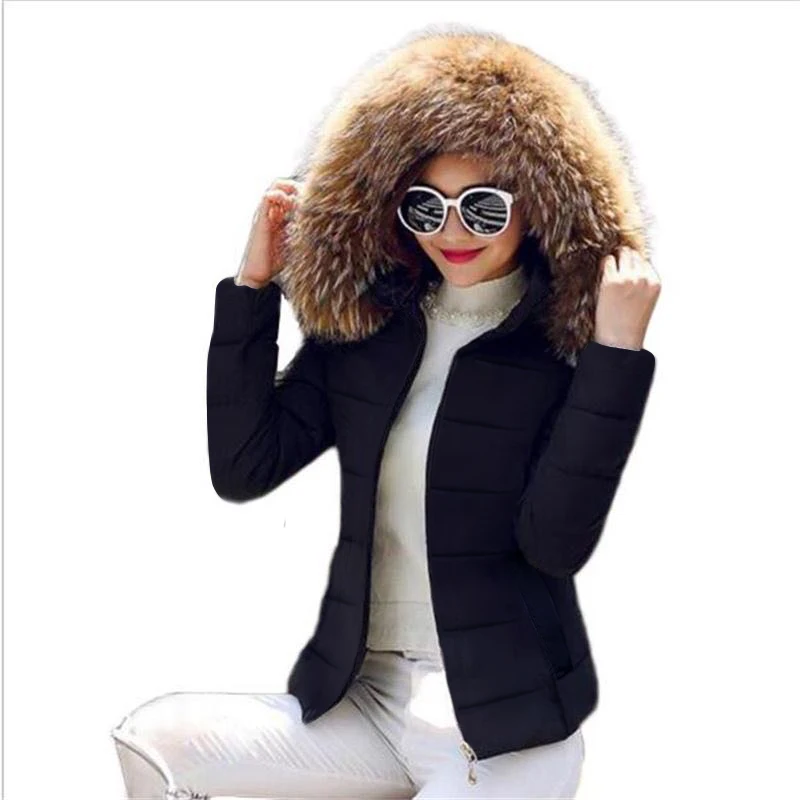 2019 New design ,Women Winter Coat Fashion fake raccoon Fur Collar winter jacket Woman Outerwear warm Parkas Female Down Jacket
2019 New design ,Women Winter Coat Fashion fake raccoon Fur Collar winter jacket Woman Outerwear warm Parkas Female Down Jacket