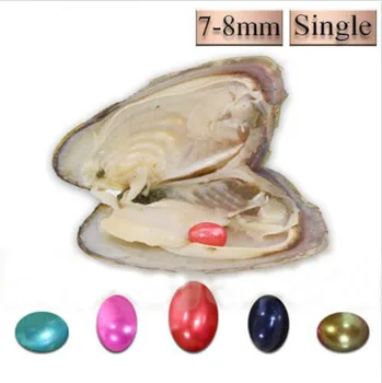 Rice Pearl Freshwater Akoya Oyster Single 7-8mm Mixed Colors Oval Pearl Oyster Christmas Gift FP393
Rice Pearl Freshwater Akoya Oyster Single 7-8mm Mixed Colors Oval Pearl Oyster Christmas Gift FP393