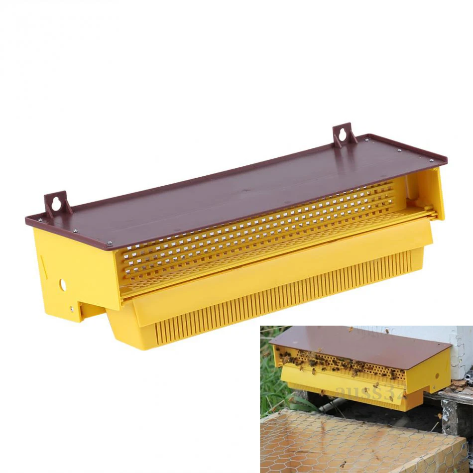 Plastic Pollen Trap Bee Keeping Tools Tray Entrance Pollen Collector Beekeeper Beekeeping Supplies Tools Apicultura Ferramenta
Plastic Pollen Trap Bee Keeping Tools Tray Entrance Pollen Collector Beekeeper Beekeeping Supplies Tools Apicultura Ferramenta