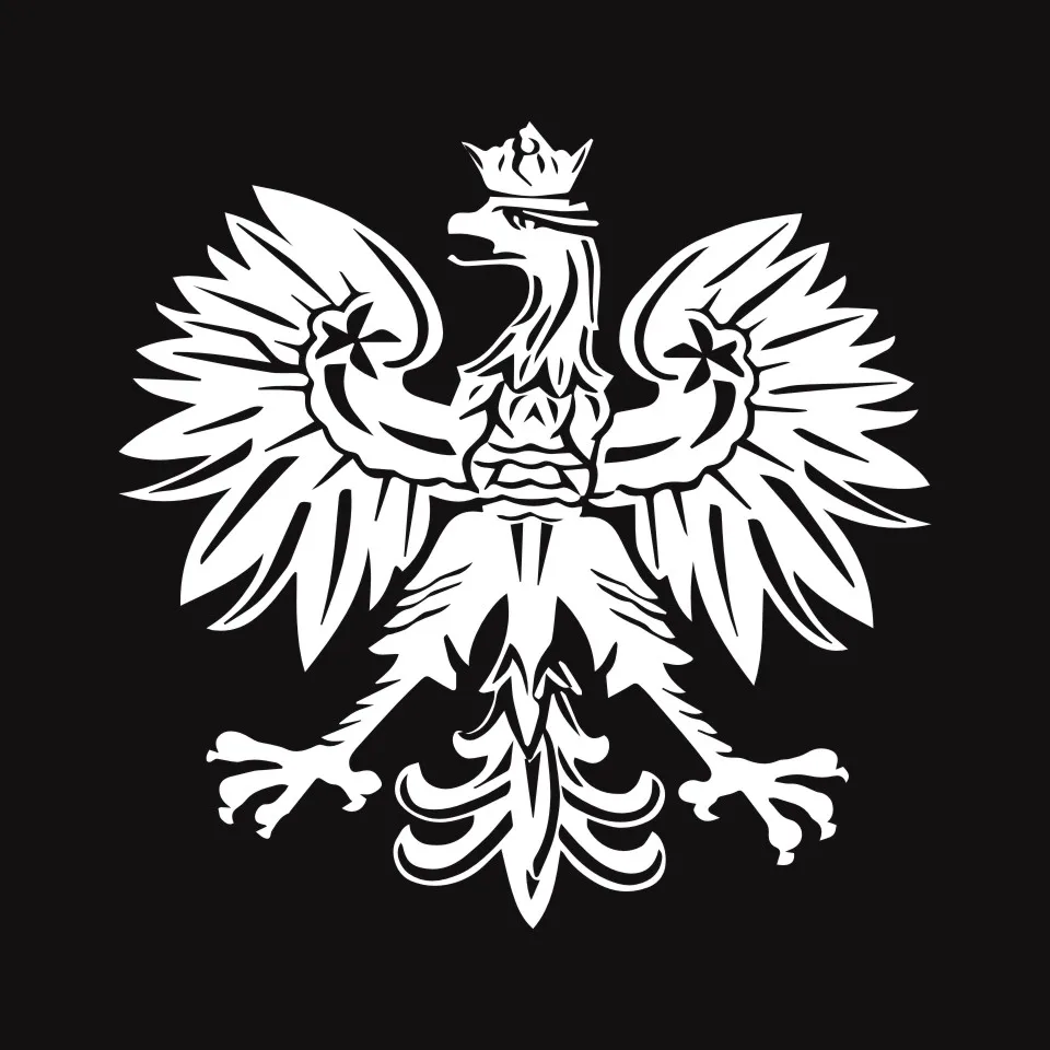 Anycuros Polish Eagle Poland Symbol Fashion Car Stickers Animal Pattern Car Styling Decal BlackSilverLaser 15.215 (6)