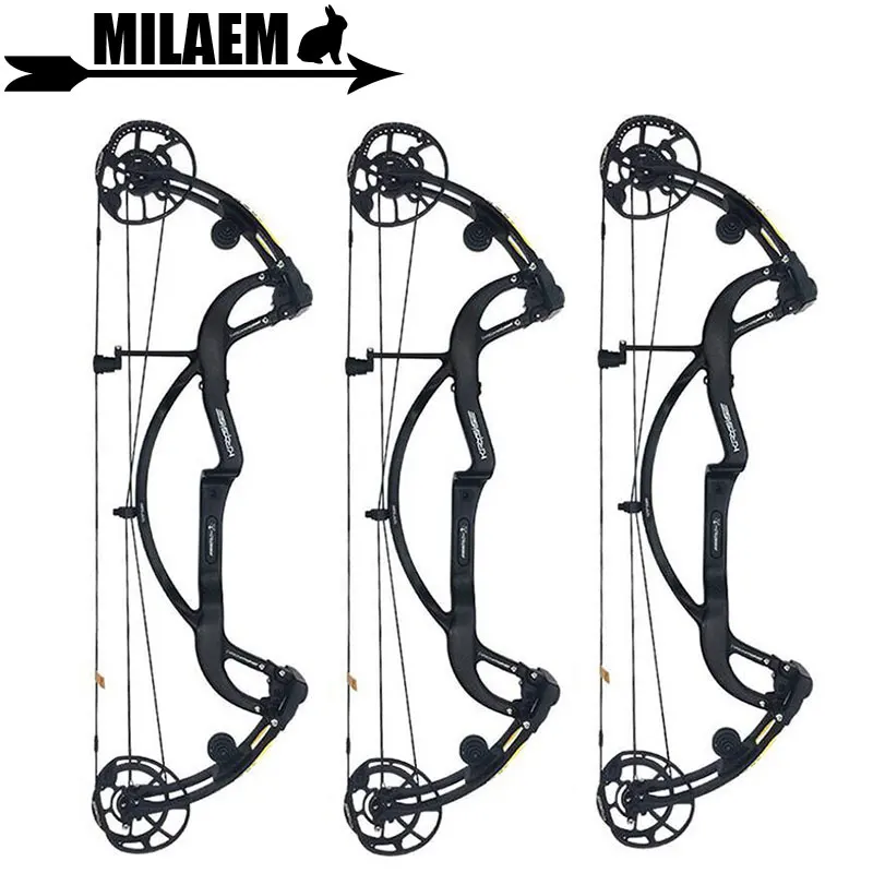 1Set Archery Compound Bow Adjustable 50-65lbs IBO330 FPS Carbon Fiber With Comound Bow Stabilizer Outdoor Shooting Accessories
1Set Archery Compound Bow Adjustable 50-65lbs IBO330 FPS Carbon Fiber With Comound Bow Stabilizer Outdoor Shooting Accessories