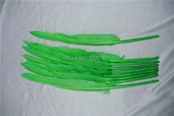 Wholesale 100pcs12-14inch lime green Turkey wing Feathers turky wing for feather headdress
Wholesale 100pcs12-14inch lime green Turkey wing Feathers turky wing for feather headdress