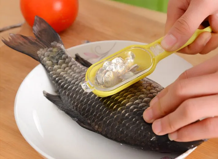 1PC Fish Scale Remover With Lid Cleaning Fish Skin Scaling Knife Skinner Seafood Tool Kitchen Accessories EKX 303
1PC Fish Scale Remover With Lid Cleaning Fish Skin Scaling Knife Skinner Seafood Tool Kitchen Accessories EKX 303