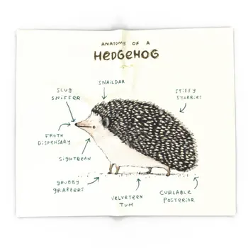 Blanket Custom Anatomy Of A Hedgehog Fleece Blanket Sofa/Bed/Plane Travel Plaids Bedding Towel
Blanket Custom Anatomy Of A Hedgehog Fleece Blanket Sofa/Bed/Plane Travel Plaids Bedding Towel