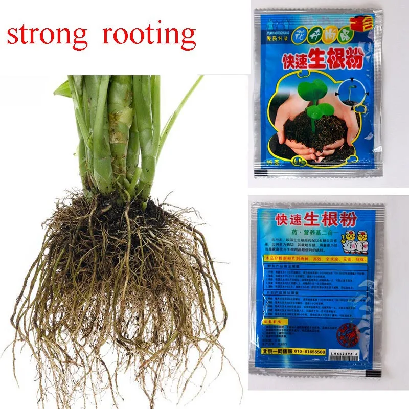 1PCS Flower Plant Strong Rooting Powder Growing Roots Fast growing roots seedling germination aid Gardening Supplies vigor
1PCS Flower Plant Strong Rooting Powder Growing Roots Fast growing roots seedling germination aid Gardening Supplies vigor