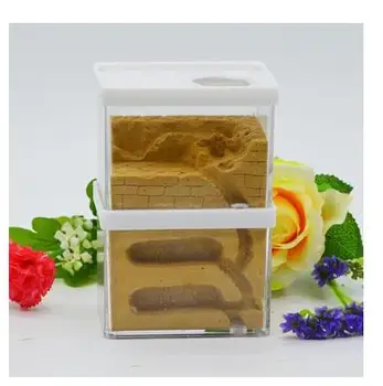 Plaster Ant Nest Acrylic Ant Farm Ants Queen House Insect Cage Anthills Pet Ant Castle Granja De Hormigas Hormiguero 
Plaster Ant Nest Acrylic Ant Farm Ants Queen House Insect Cage Anthills Pet Ant Castle Granja De Hormigas Hormiguero