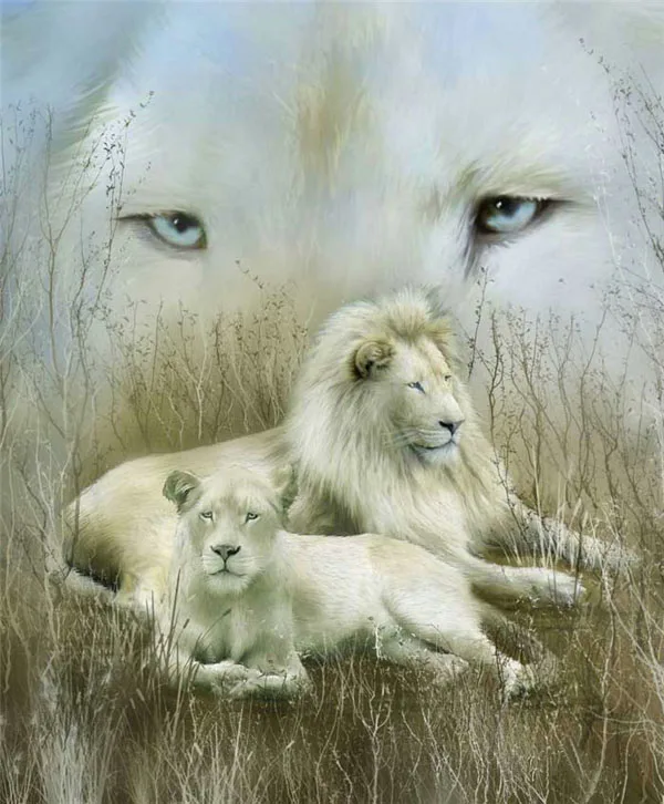 New Full Dimond Mosaic Cross Stitch Unfinished Diy 5D Diamond Painting Lion Needlework Diamond Embroidery
New Full Dimond Mosaic Cross Stitch Unfinished Diy 5D Diamond Painting Lion Needlework Diamond Embroidery