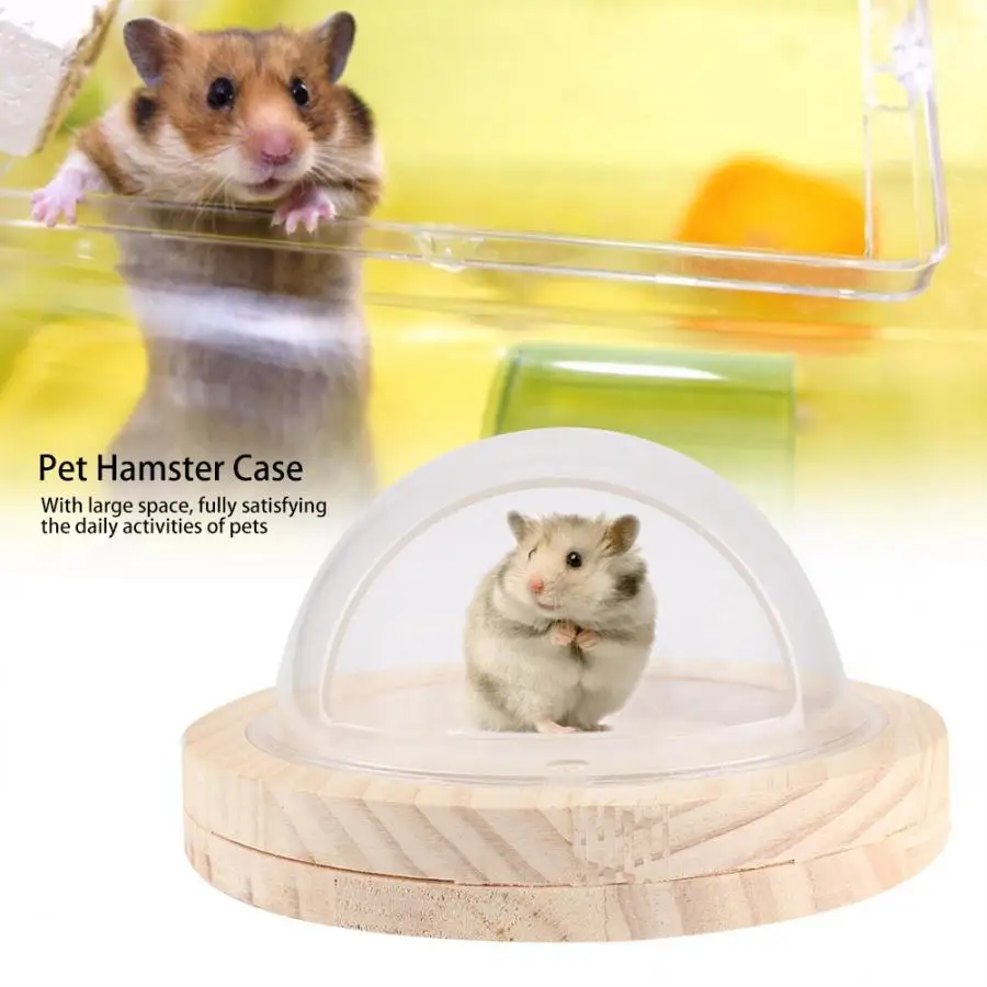 Insects Box Ants Farm Durable Transparent Plastic Wood Pet Animal Play Plate Cooling Small Hamster Box Case Reptiles Living
Insects Box Ants Farm Durable Transparent Plastic Wood Pet Animal Play Plate Cooling Small Hamster Box Case Reptiles Living