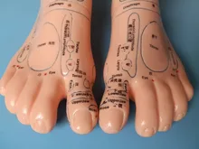 19cm Foot reflex zone massage model, not acupuncture model, Chinese and English code TCM Feet Reflexology, 1 pair(China)