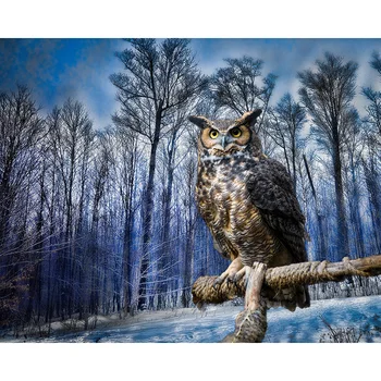 5D DIY diamond embroidery winter forest owl full square diamond painting Cross Stitch Rhinestone mosaic home decoration
5D DIY diamond embroidery winter forest owl full square diamond painting Cross Stitch Rhinestone mosaic home decoration