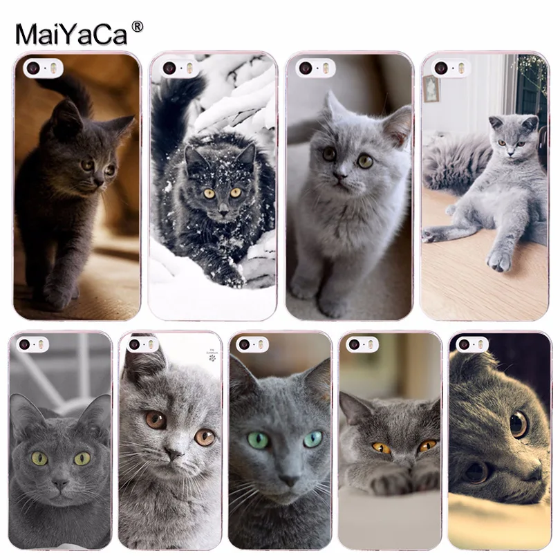 MaiYaCa Animal Gray Cat British bobtail Novelty Fundas Phone Case Cover for Apple iPhone 8 7 6 6S Plus X 5 5S SE 5C 4 4S Cover
MaiYaCa Animal Gray Cat British bobtail Novelty Fundas Phone Case Cover for Apple iPhone 8 7 6 6S Plus X 5 5S SE 5C 4 4S Cover