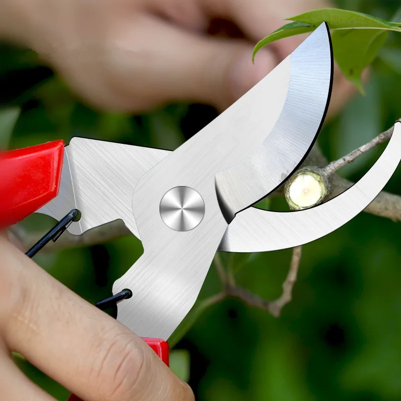 5.5cm Garden Scissors Grafting Tool Fruit Tree Pruning Shears Bonsai Pruners Garden Shears Gardening Secateurs
5.5cm Garden Scissors Grafting Tool Fruit Tree Pruning Shears Bonsai Pruners Garden Shears Gardening Secateurs