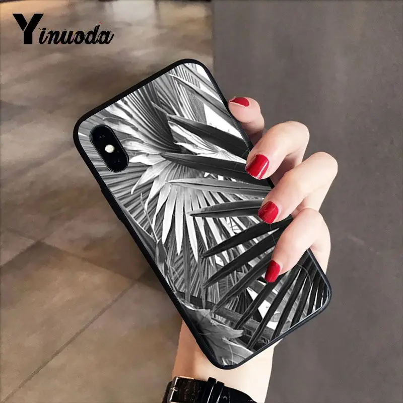 Black white palm leaves palm trees