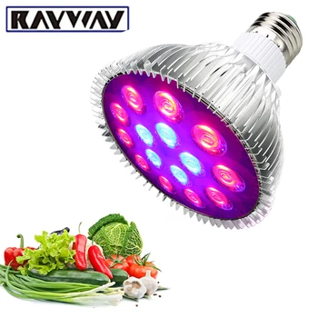 E27 LED Grow Light15-54W Phytolamp Flower Bulbs for Garden Indoor Plants for the garden seedling lighting
E27 LED Grow Light15-54W Phytolamp Flower Bulbs for Garden Indoor Plants for the garden seedling lighting