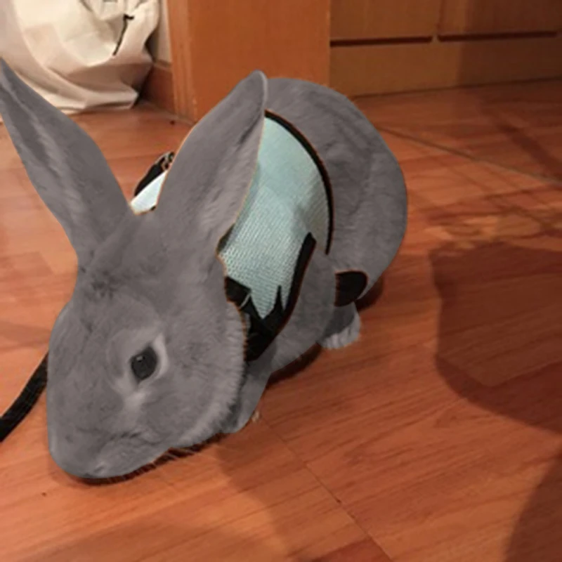 3 Colors Small Pet Rabbit Harness And Leash Set Ferret Guinea Pig Small Animal Pet Walk Lead S M L
3 Colors Small Pet Rabbit Harness And Leash Set Ferret Guinea Pig Small Animal Pet Walk Lead S M L