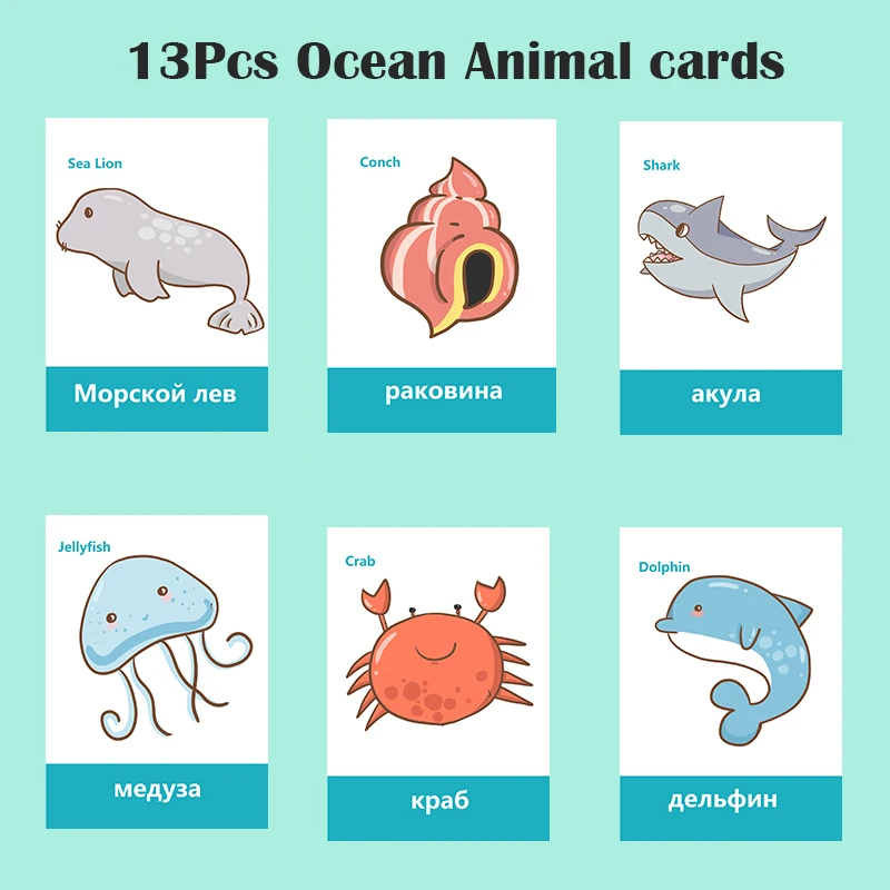 DDWE 13Pcs Learn Russian English Marine life Animals Flash Card Montessori Early Development Educational Toys For Children Gift
DDWE 13Pcs Learn Russian English Marine life Animals Flash Card Montessori Early Development Educational Toys For Children Gift