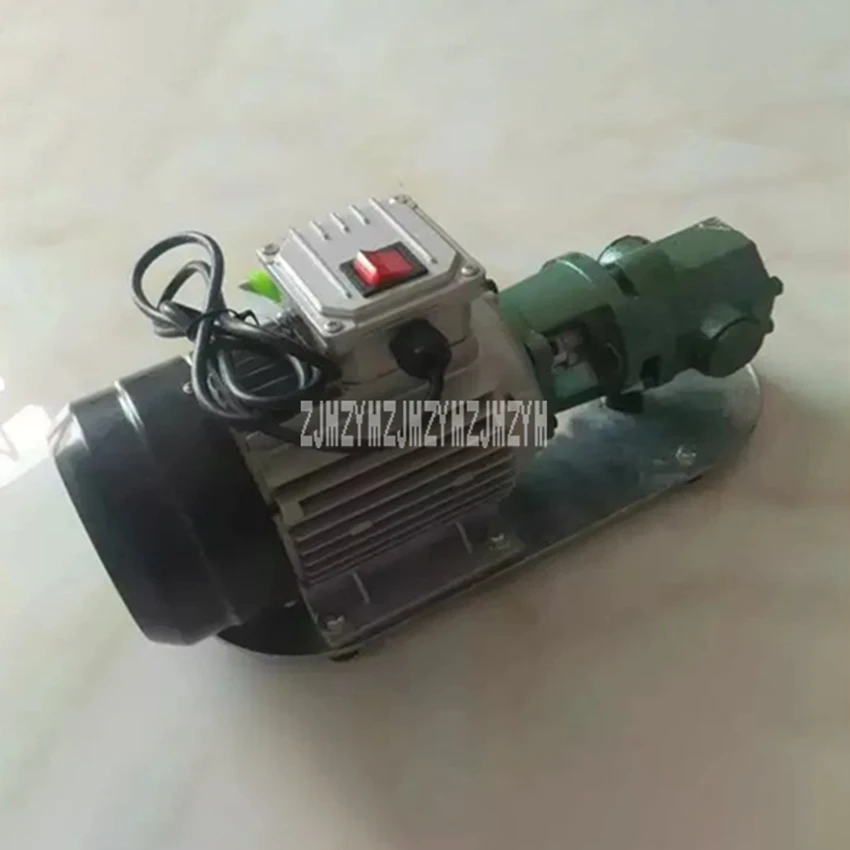 WCB-75 Self-Priming Gear Oil Pump Portable Cast Iron High Temperature Electric Gear Pump 750W Small High Viscosity Oil Pump 220V
WCB-75 Self-Priming Gear Oil Pump Portable Cast Iron High Temperature Electric Gear Pump 750W Small High Viscosity Oil Pump 220V
