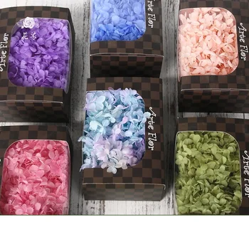 Eternal Flower Decoration Materials Handmade DIY Flower Bundle Accessory Material Accessories Artificial Flowers for Wedding
Eternal Flower Decoration Materials Handmade DIY Flower Bundle Accessory Material Accessories Artificial Flowers for Wedding