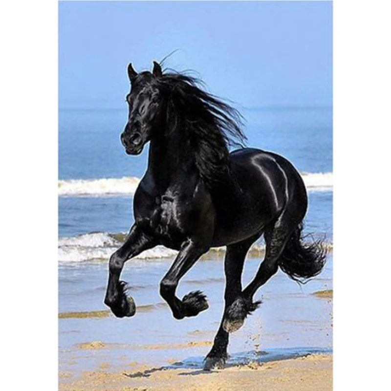 5D Diamond Painting black Horse ,diy diamond Embroidery Cross Stitch, diamond Mosaic Painting Gift home decoration RS126
5D Diamond Painting black Horse ,diy diamond Embroidery Cross Stitch, diamond Mosaic Painting Gift home decoration RS126