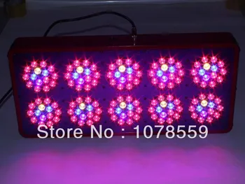 450W Grow Light 10 LED Grow Light Greenhouse Garden Plant Grow Lamp Flowering Light 660nm:630nm:460nm:430nm:610nm=7:3:3:1:1
450W Grow Light 10 LED Grow Light Greenhouse Garden Plant Grow Lamp Flowering Light 660nm:630nm:460nm:430nm:610nm=7:3:3:1:1