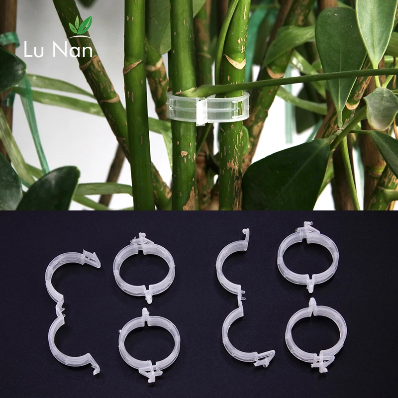 50pcs/100pcs Durable 30mm Plastic Plant Support Clips For Types Plants Hanging Vine Garden Greenhouse Vegetables Garden Ornament
50pcs/100pcs Durable 30mm Plastic Plant Support Clips For Types Plants Hanging Vine Garden Greenhouse Vegetables Garden Ornament