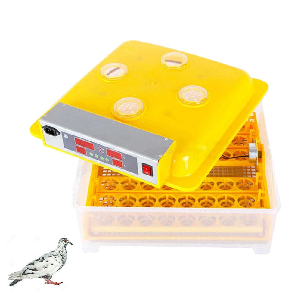 48 Eggs Intelligent Automatic Egg Incubator Digital Temperature Control Egg Incubator Hatchery for Chicken Duck Bird
48 Eggs Intelligent Automatic Egg Incubator Digital Temperature Control Egg Incubator Hatchery for Chicken Duck Bird