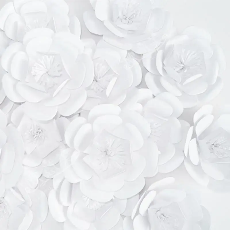 Giant Paper Flowers 16PCS Set For Wedding Backdrops Decorations For Event Wall Windows Display Girls' Room 3 Different Options
Giant Paper Flowers 16PCS Set For Wedding Backdrops Decorations For Event Wall Windows Display Girls' Room 3 Different Options