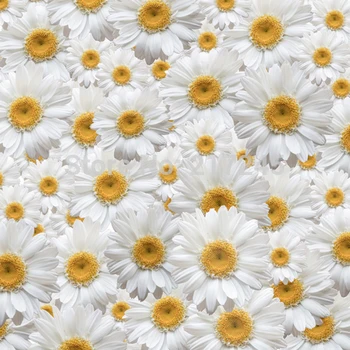 Art Fabric Photography Backdrop Flower Custom Photo Prop backgrounds 5ftX7ft D-1793
Art Fabric Photography Backdrop Flower Custom Photo Prop backgrounds 5ftX7ft D-1793