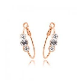 Фото Crystal Hoop Long Dangle Drop Big Earrings For Women Pendant Dress Brand cc Gold Silver Jewelry brincos grandes #B230 | Украшения и