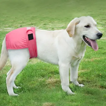 Puppy Dog Diaper Physiological Pants Pet Girl Dog Underwear Short Pants Pet Accessories XHC88
Puppy Dog Diaper Physiological Pants Pet Girl Dog Underwear Short Pants Pet Accessories XHC88