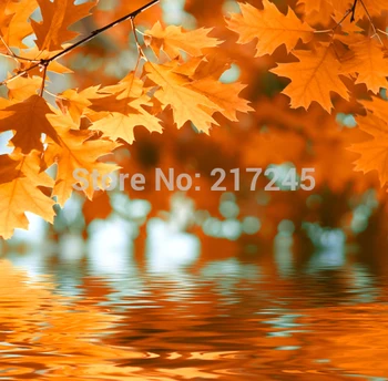 Art Fabric Photography Backdrop Scenery Custom Photo Prop backgrounds 5ftX7ft D-2780
Art Fabric Photography Backdrop Scenery Custom Photo Prop backgrounds 5ftX7ft D-2780