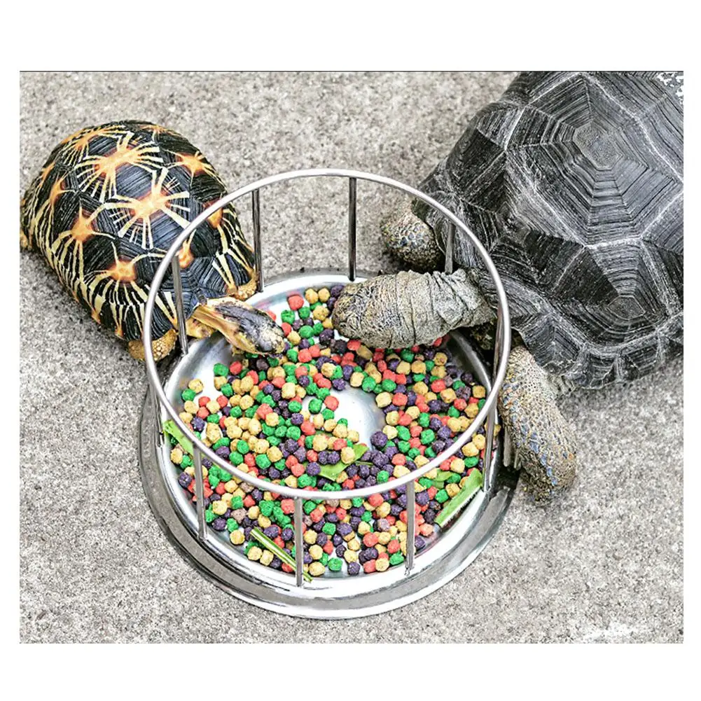 New Reptile Food Bowl Pet Tortoise Lizard Feeder Tray Reptile Terrarium Drinking Food Water Bowl Dish Feeder Tool
New Reptile Food Bowl Pet Tortoise Lizard Feeder Tray Reptile Terrarium Drinking Food Water Bowl Dish Feeder Tool