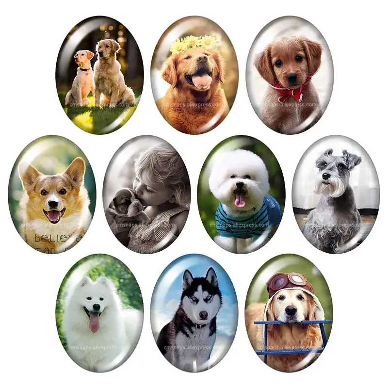 Lovely Dogs Love Pet animals 10pcs mixed 13x18mm/18x25mm/30x40mm Oval photo glass cabochon demo flat back Making findings TB0027
Lovely Dogs Love Pet animals 10pcs mixed 13x18mm/18x25mm/30x40mm Oval photo glass cabochon demo flat back Making findings TB0027