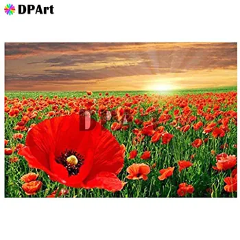 Diamond Painting 5D Full Square/Round Drill Red Flower Corn Poppy Daimond Embroidery Painting Cross Stitch Mosaic Picture M853
Diamond Painting 5D Full Square/Round Drill Red Flower Corn Poppy Daimond Embroidery Painting Cross Stitch Mosaic Picture M853