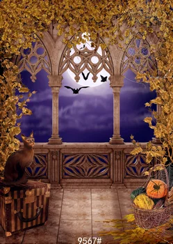 150x210cm Halloween night photography backgrounds Photography backdrops Fond studio photo vinyle Photography-studio-backdrop
150x210cm Halloween night photography backgrounds Photography backdrops Fond studio photo vinyle Photography-studio-backdrop