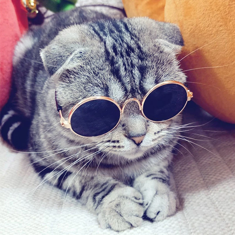 2pcs Cool Puppy Cat Rabbit Sunglasses Handsome Pet Eye-wear For Cats Dogs Kedi Glasses Cat Supplies Little Small Dog Accessories
2pcs Cool Puppy Cat Rabbit Sunglasses Handsome Pet Eye-wear For Cats Dogs Kedi Glasses Cat Supplies Little Small Dog Accessories