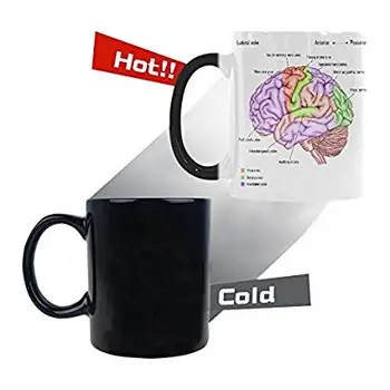 Love Anatomy of the Human Brain Morphing Mug Heat Sensitive Color Changing Coffee Mug Cup - Unique Funny Birthday Christmas Gift
Love Anatomy of the Human Brain Morphing Mug Heat Sensitive Color Changing Coffee Mug Cup - Unique Funny Birthday Christmas Gift