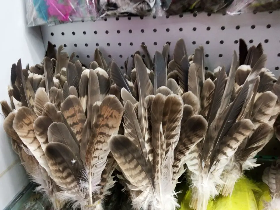 Wholesale perfect 50pcs Rare high quality natural Owl tail feathers 9-14inch/22-35cm Decorative diy
Wholesale perfect 50pcs Rare high quality natural Owl tail feathers 9-14inch/22-35cm Decorative diy