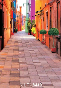 Street photography backgrounds photography backdrop fond studio photo vinyle backgrounds for photo studio 300x300cm
Street photography backgrounds photography backdrop fond studio photo vinyle backgrounds for photo studio 300x300cm