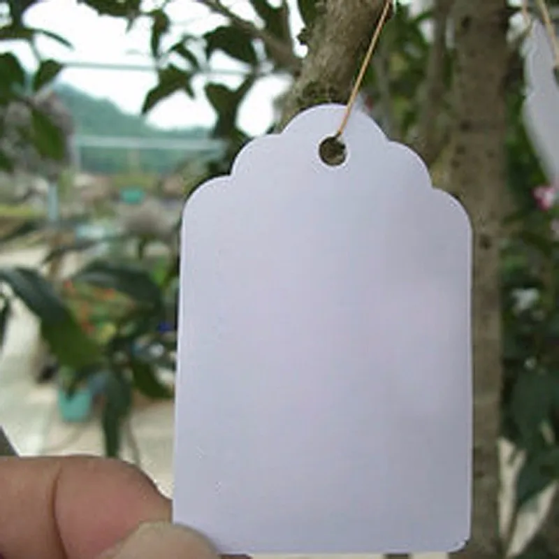 100Pcs/lot Plants Hang Tag Labels Seedling Garden Flower Pot Plastic Tags Number Plate Hanging Reusable PVC Garden Tools