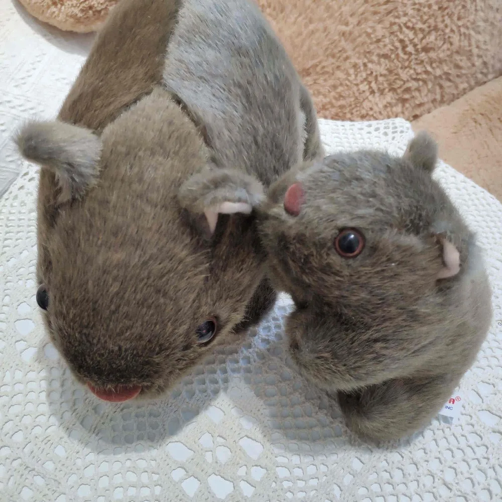 1pc 18cm Simulation Plush Wombat Guinea Pig Cavia Porcellus Toy Stuffed Wild Animal Doll Toys Baby Children Gift Home Shop Decor
1pc 18cm Simulation Plush Wombat Guinea Pig Cavia Porcellus Toy Stuffed Wild Animal Doll Toys Baby Children Gift Home Shop Decor