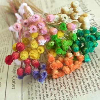 100pcs/lot 6-10mm mixed size and mixed color dry flower glass bottle fill display
100pcs/lot 6-10mm mixed size and mixed color dry flower glass bottle fill display